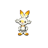 Shiny Scorbunny